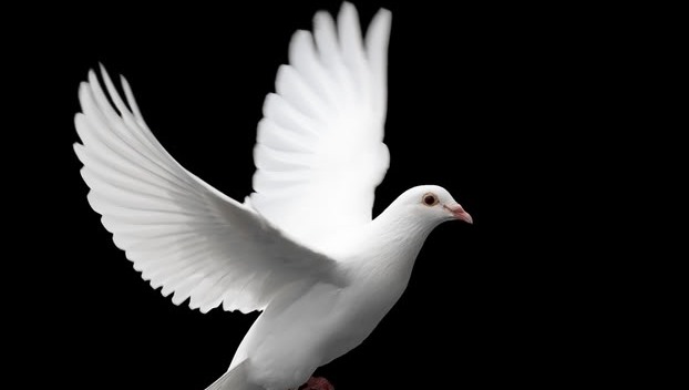 Выставка птиц со всего мира пройдет в Краматорске 