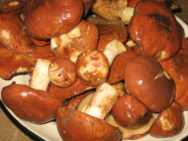 В Торецке два человека отравились грибами, которые купили на рынке