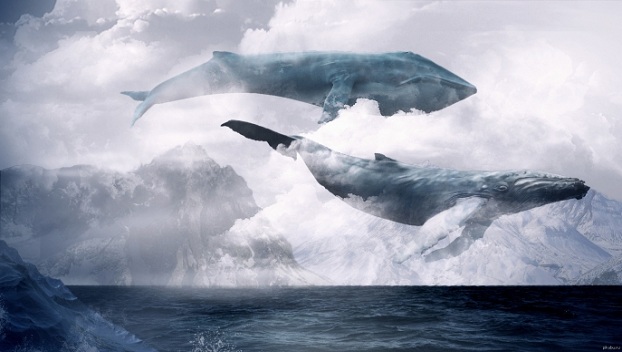Парень сымитировал самоубийство, чтобы разоблачить «синих китов»