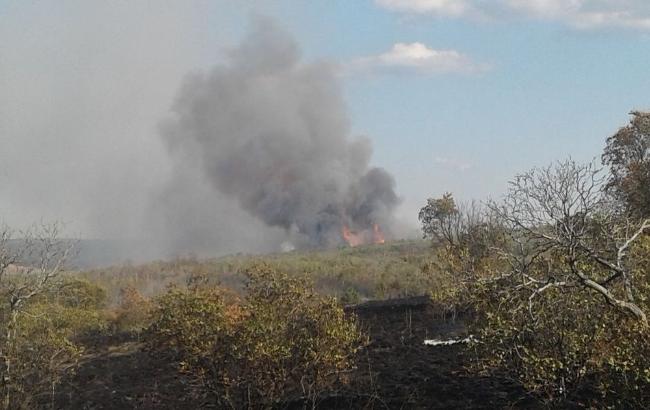 На Луганщине спасатели ликвидировали масштабный пожар 