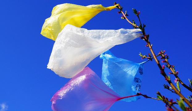 В Украине могут запретить использование пластиковых пакетов