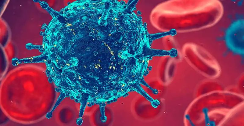 Потенциальная победа: иммунные Т-клетки могут излечить все виды рака