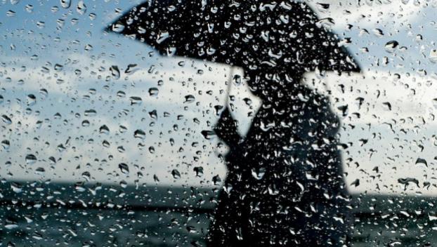 Сильный дождь и туман: На Донетчине ожидается ухудшение погоды