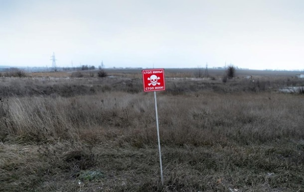 За год жертвами мин на Донбассе стали 70 человек – ОБСЕ
