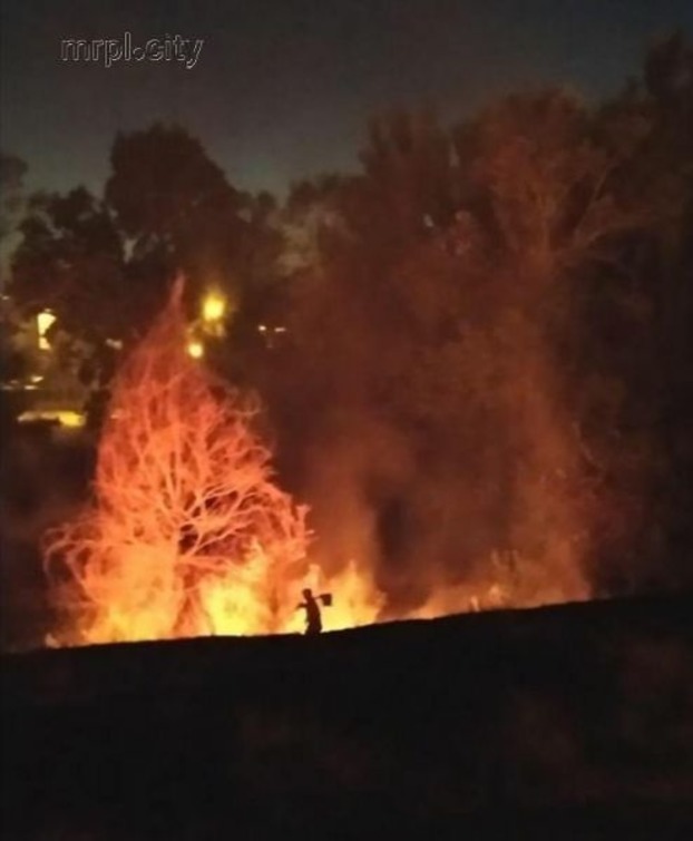 Спасатели потушили пожар в парке Гурова в Мариуполе