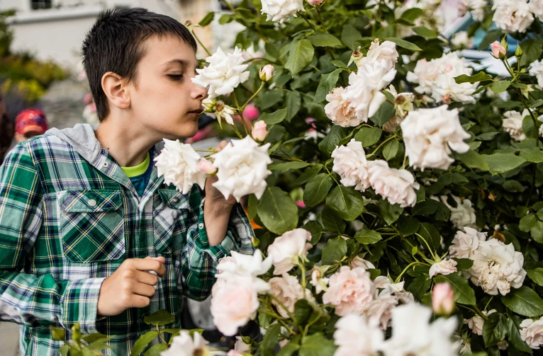 В Донецкой ОВА прокомментировали историю 10-летнего Платона и его братьев