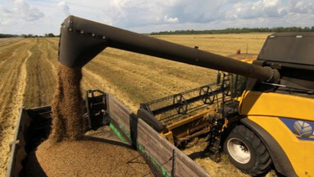 Война на Донбассе «намолотила» 250 тонн зерна