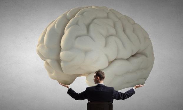 Мозг человека почти на 20% меньше, чем раньше