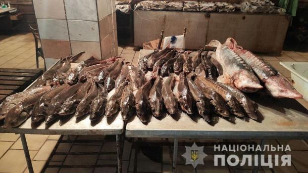 Мужчина в Мариуполе наладил незаконный бизнес по продаже рыбы