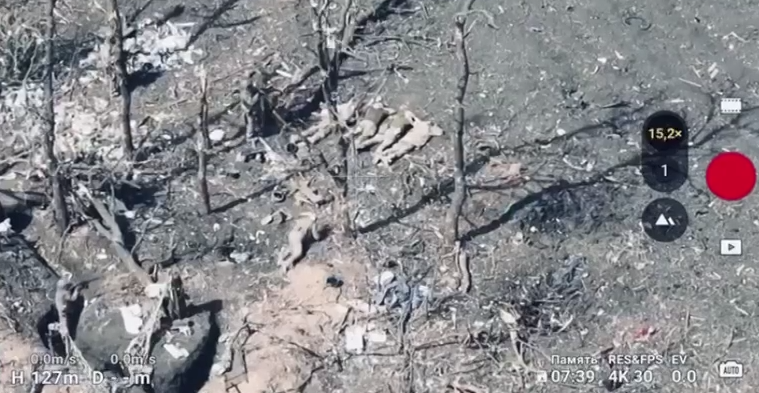 Расстрел пленных: Прокуратура расследует убийство пяти бойцов ВСУ войсками РФ под Покровском