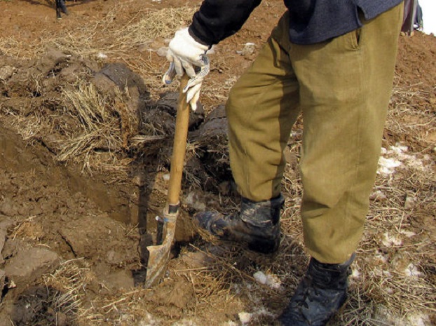 В Донецкой области нашли мертвого человека в военной форме