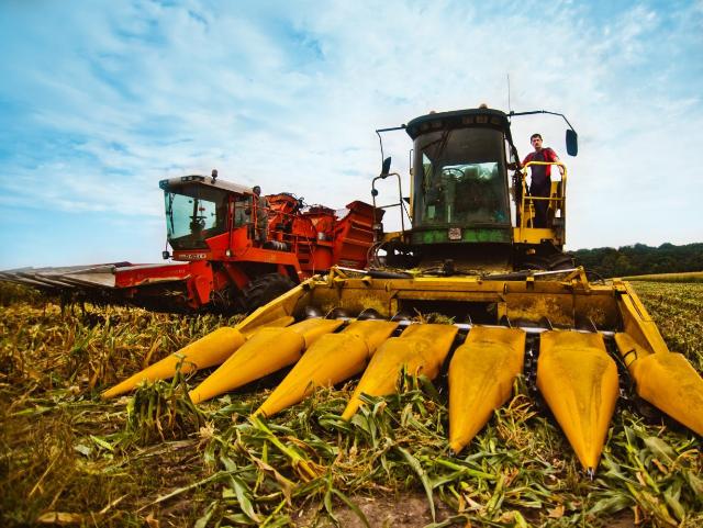 Экспорт: Украинские аграрии отправят в ЕС 400 тысяч тонн кукурузы