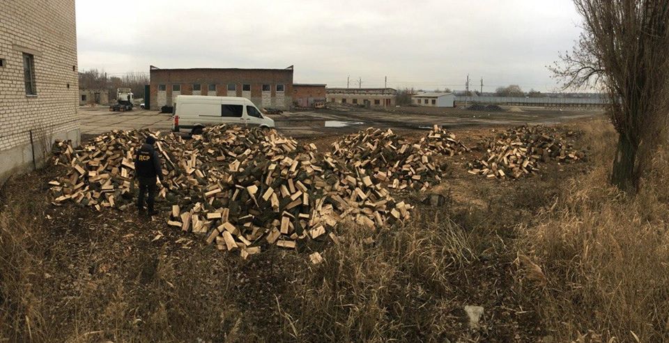 Лесники на Донетчине незаконно вырубили лес на сумму более 1 млн