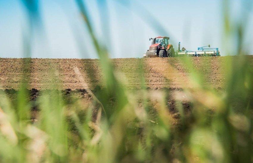 Аграрії Донеччини можуть одержати до 2 тисяч гривень субсидії за гектар: Подробиці