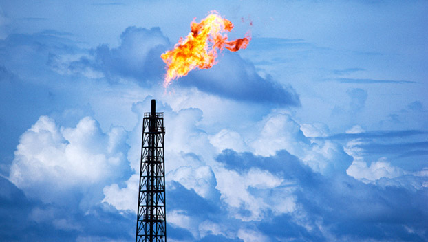 Prozorro сэкономит 2,26 млрд грн Укртрансгаза на покупке газа