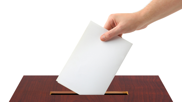 Избирательный процесс в Красноармейске прошел нормально, но случались курьезы