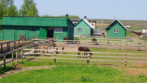 Ферма с рабами была обнаружена в Винницкой области 