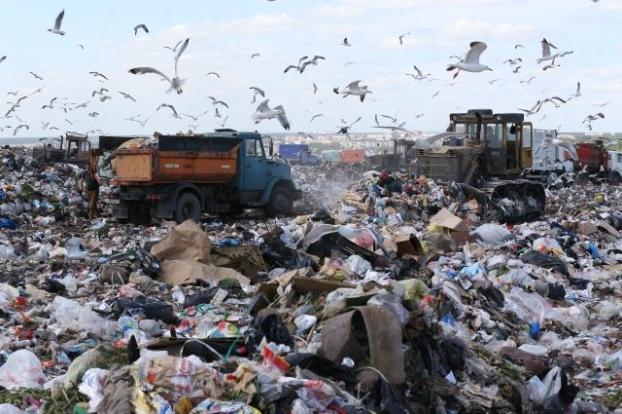 Украина вошла в лидеры «мусорного рейтинга»