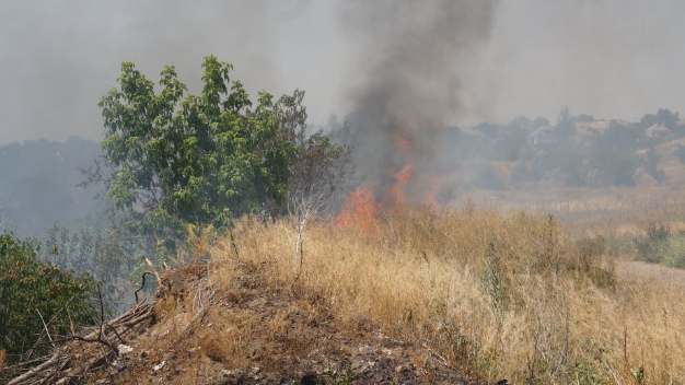 Едва не сгорели поля и дома: Пожар вблизи Белокузьминовки