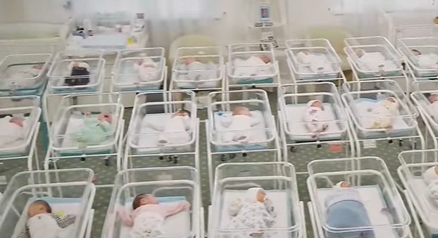 Новые подробности истории с нахождением десятков младенцев от суррогатных матерей в гостинице Киева