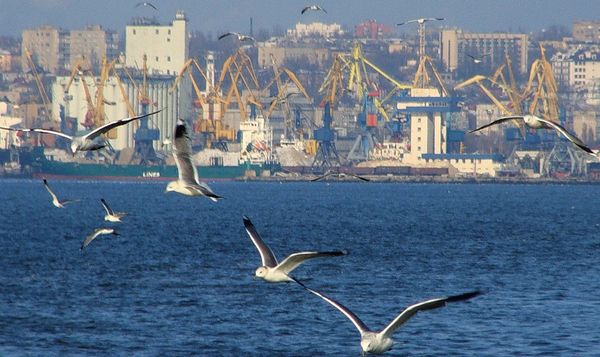 Три вуза в Мариуполе появятся с 1 сентября этого года