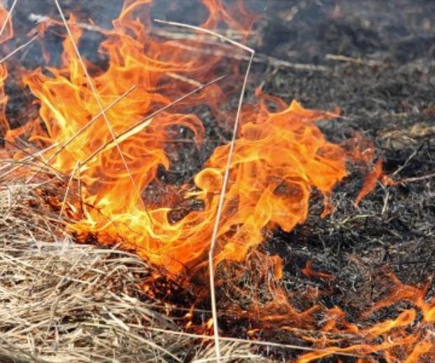 В Мариуполе пламя охватило более 13,5 га сухой травы в зеленых зонах