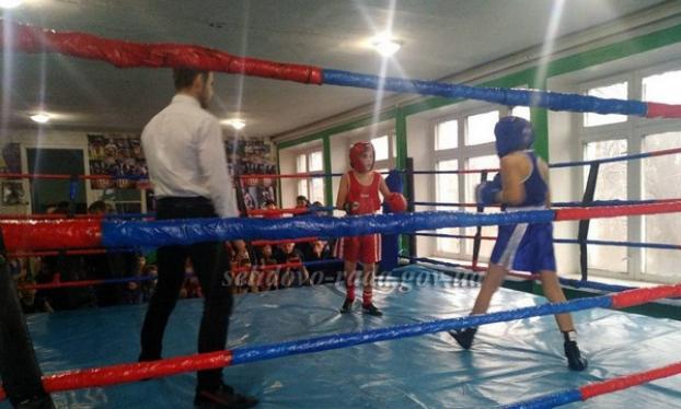 В Селидово прошло открытое первенство города по боксу