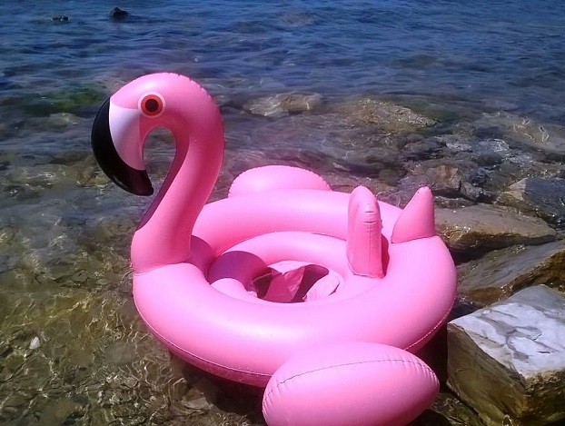 Розовый фламинго в Лазурном унес детей в открытое море