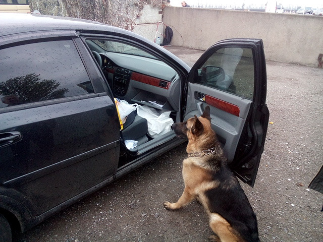 В Донецкой области пограничники обнаружили в автомобиле патроны