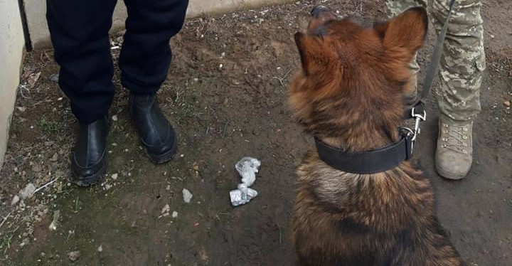 На КПВВ «Гнутово» служебная собака нашла наркотики