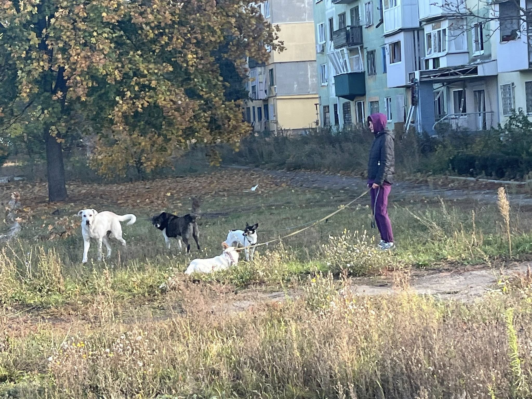 Константиновка, октябрь 2025