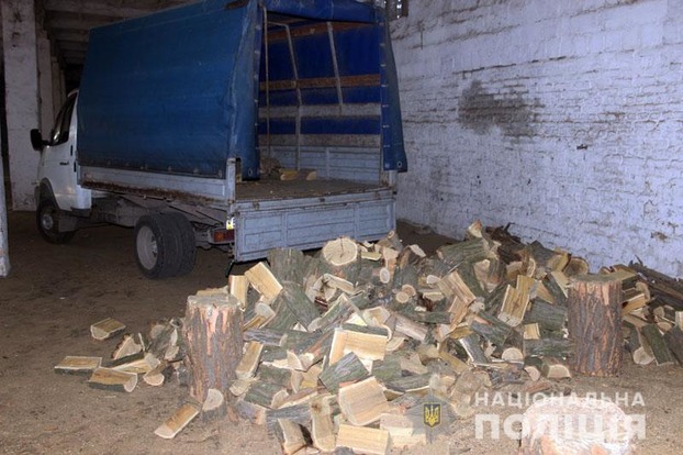 На Донетчине преступная группировка вырубила лес на миллионы гривень
