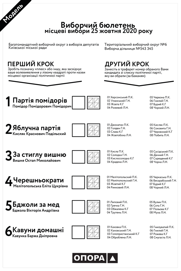 Местные выборы в Украине