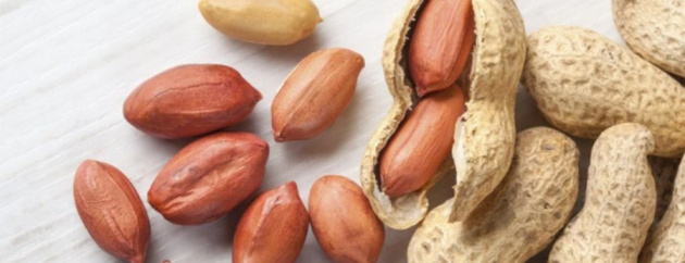 333320222136.jpg 333320222136.jpg