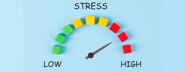 2222024560.jpg стресс