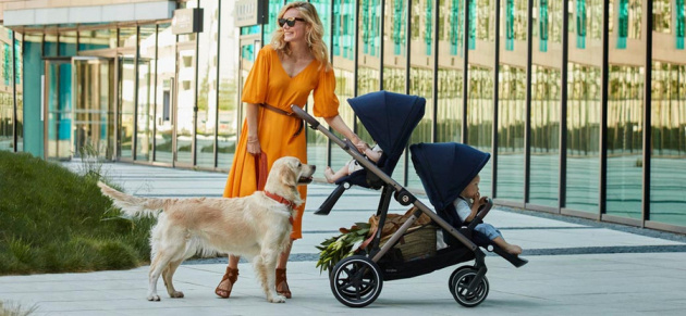 коляска для путешествий