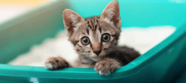 2222247.48_capture2084.jpg 2222247.48_capture2084.jpg