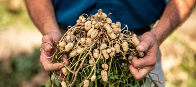 2222202565112.jpg 2222202565112.jpg