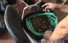 В Житомире сотрудники полиции разоблачили подпольный цех по обработке янтаря