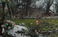 В Донецкой области смертность в 2025 году превысила рождаемость более чем в 10 раз