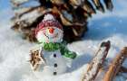 Синоптики дали прогноз, когда в Украину придут морозы, и какая погода будет в Новогоднюю ночь