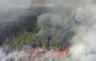 Пожары в Луганской области: количество жертв выросло