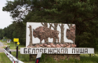 Польше придется выплачивать 100 000 евро в день, если она не прекратит вырубку леса