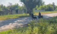 Девять человек вышли из Константиновки, из них трое получили ранения по дороге