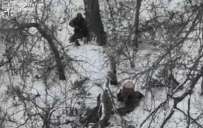 У Покровському районі окупанти розстріляли двох полонених бійців ЗСУ: розпочато розслідування