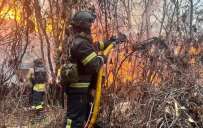 Сегодня Святогорск атаковали дроны: Спасатели потушили пожар в домиках для отдыха