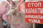 Ограничения в Краматорске в связи с африканской чумой свиней
