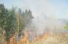 За сутки в Донецкой области ликвидирован 81 пожар