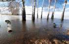 Паводок принес убытка на миллионы гривень в Закарпатской области