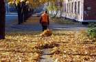К опадению листвы Краматорск готов
